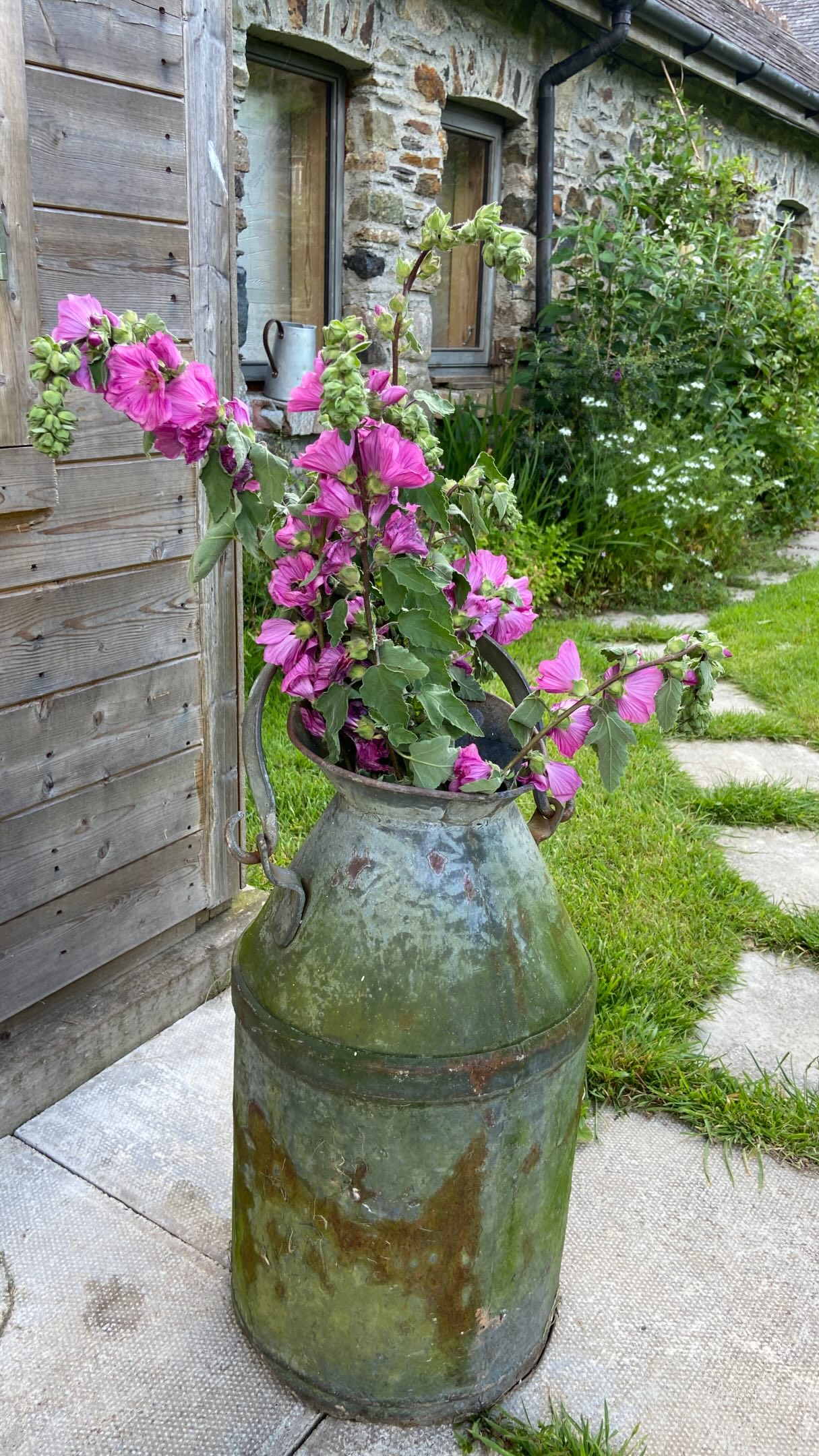 What a wonderful afternoon at our charity garden party on Sunday, raising funds for the @pregnancycrisiscare 💕

Friends, families and supporters gathered to enjoy homemade cakes, tea and coffee, a fabulous plant stall, bring-your-own picnics, and beautiful live music from Soulstone - @josiahjproducer & @cavocalcoaching 

Thank you to everyone who came along, donated, baked, helped, and supported such an important cause. It was a lovely example of community spirit, generosity, and people coming together to make a difference.

#CommunitySpirit #CharityFundraiser #GardenParty #SupportingLocalCharities #HomemadeCake