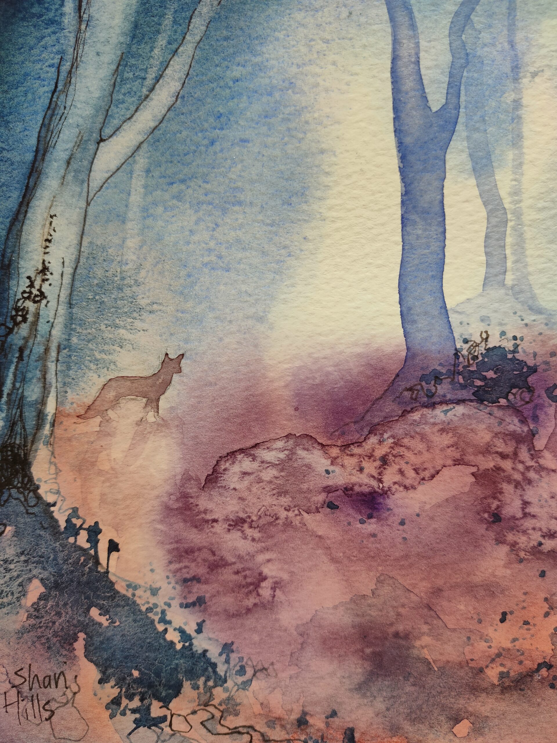 Dusk and Dawn Watercolour Workshop - Crepuscular Creatures with Shari Arnott Friday 30 October 2026 10-3 - Image 8